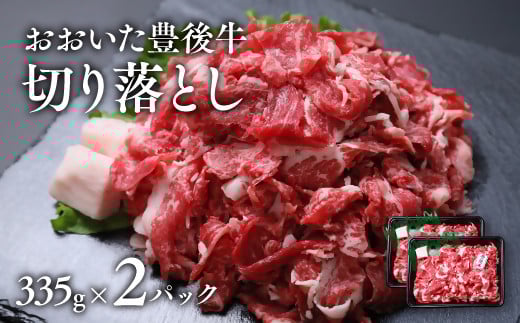【335g×2パック】 おおいた豊後牛 切り落とし 計670g 黒毛和牛 部位 おまかせ 大分県産大分県豊後高田市10000肉牛肉