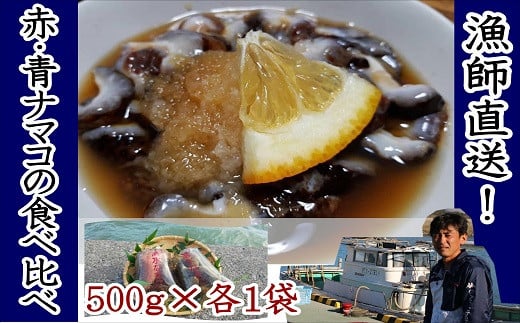 【先行予約】修福丸ん赤・青ナマコの食べ比べ!(赤・青各500g×1袋)大分県豊後高田市11000魚介・海産物貝類