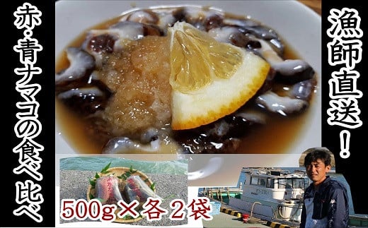 【先行予約】修福丸ん赤・青ナマコの食べ比べ!(赤・青各2袋)大分県豊後高田市20000魚介・海産物貝類