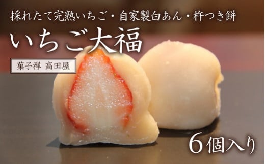 啟i6jys\z t[c啟 C`S  XC[c ӂ aَq ʕ nݑ啪L㍂cs8000ʕEt[c