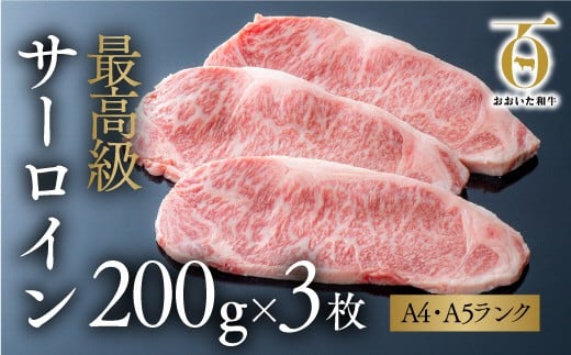 おおいた和牛サーロインステーキ(200g×3枚) 黒毛和牛 和牛 国産 九州 牛肉 おおいた和牛 ステーキ サーロイン大分県豊後高田市33000肉牛肉