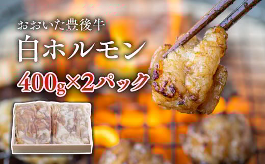 【スピード発送】 おおいた豊後牛 白ホルモン800g(400g×2パック) ホルモン 焼き肉 牛肉 牛 焼肉 豊後牛 九州 黒毛和牛 もつ大分県豊後高田市11000肉牛肉