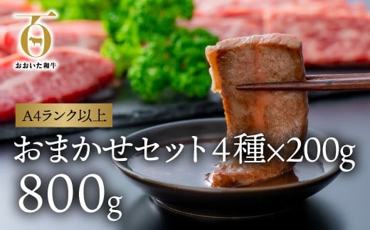 【スピード発送】 焼き肉 カルビ おまかせ部位3種 (各200g計800g) 片桐さんのおまかせ焼肉セット おおいた和牛 黒毛和牛 焼肉 セット大分県豊後高田市29000肉牛肉