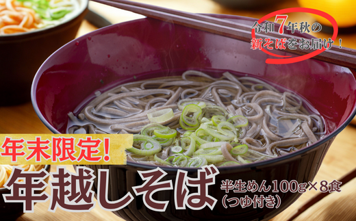 【12/17〜28配送】R7秋新そば 豊後高田なまそば(100g×8食・つゆ付) 蕎麦 年内配送大分県豊後高田市11000麺そば