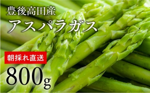 グリーンアスパラガス(800g)【7月〜9月配送】大分県豊後高田市6000野菜・きのこその他 野菜