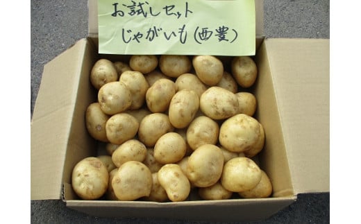 L@JASႪi5kg/󂠂/S`LTCYjs\啪L㍂cs6000؁ÊႪEC