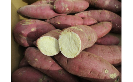 L@JAS܂@s\i5kg/󂠂/S`LTCYj啪L㍂cs6000؁ÊႪEC