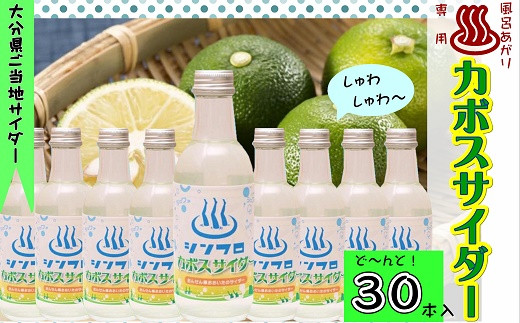 VtJ{XTC_[30{yڂʏ`I啪nTC_[z啪L㍂cs30000Ȇ E