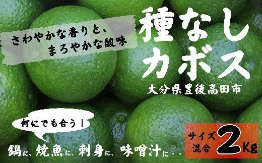 ȂJ{X2kgiTCYj啪L㍂cs6000ʕEt[c݂Ek