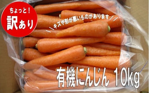 s\ y󂠂z L@ɂ񂶂 10kg啪L㍂cs11000؁Ê卪EjWEؗ