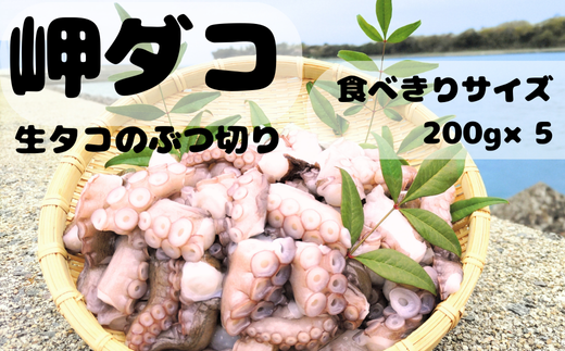 修福丸 岬たこ 生たこぶつ切り食べきりサイズ(200g×5袋)大分県豊後高田市13000魚介・海産物鮮魚