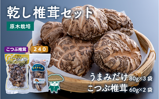 乾し椎茸セット360g【大分県新ブランドうまみだけ240、こつぶ椎茸】大分県豊後高田市19000野菜・きのこきのこ