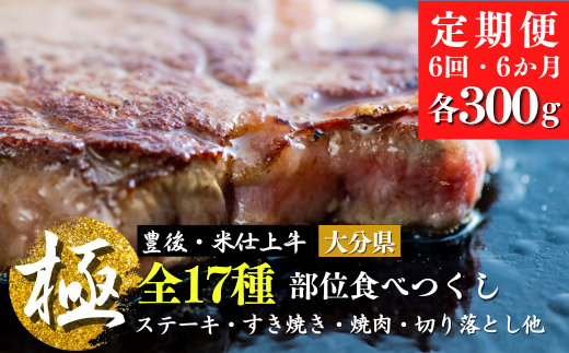 【6ヶ月定期便】 豊後・米仕上牛 部位 17種類 食べつくし 6kg【極】食べ比べセット大分県豊後高田市161000肉牛肉