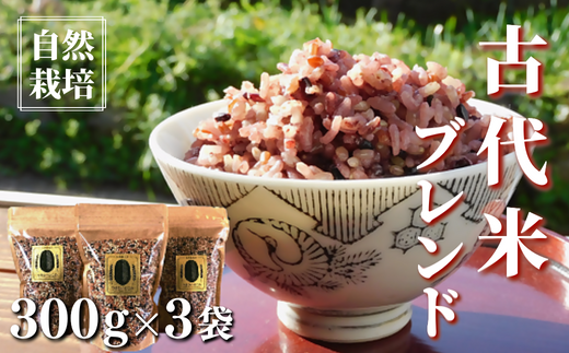 【先行予約R7年産】自然栽培 古代米 ブレンド 300g×3袋 【赤米・黒米・みどりもち】大分県豊後高田市7000米・パン白米