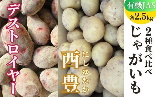 先行予約 有機JASじゃがいも 2種 食べ比べ 5kg 各2.5kg (西豊、グランドペチカ/デストロイヤー) 【畑直送】大分県豊後高田市7000野菜・きのこじゃがいも・イモ類