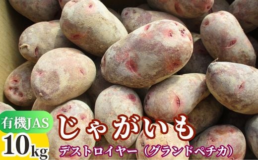 先行予約 有機JASじゃがいも 10kg (グランドペチカ/デストロイヤー) 【畑直送】大分県豊後高田市13000野菜・きのこじゃがいも・イモ類