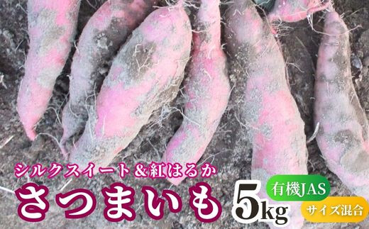 【先行予約】 有機JASさつまいも 紅はるか シルクスイート 食べ比べ 5kg (サイズ混合)大分県豊後高田市7000野菜・きのこじゃがいも・イモ類