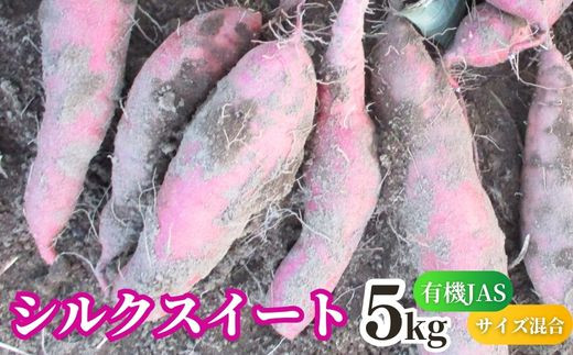 【先行予約】 有機JASさつまいも シルクスイート 5kg (サイズ混合)大分県豊後高田市7000野菜・きのこじゃがいも・イモ類