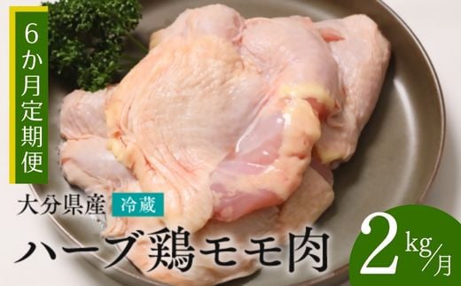 y{ 2kg/6ցz啪Y n[u{ v12kg Ɩp ① z Y B { {    6啪L㍂cs50000{
