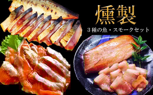 3種の魚燻製セット(天然ブリ・鯖・境港サーモン)鳥取県日吉津村18000魚介・海産物その他 魚介・海産物