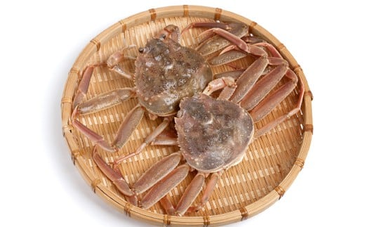 yz󂠂葫܂ꂲp@{CYeKjiZRKj 6挧gÑ30000ECYJj