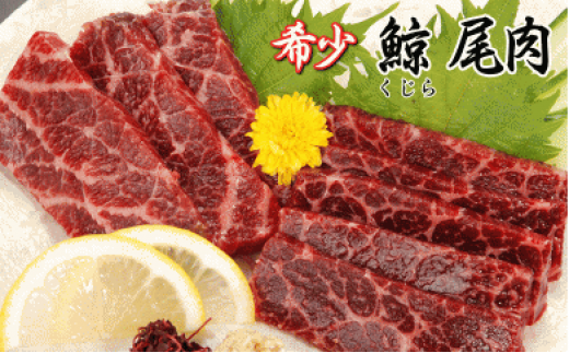 【希少&高級】ひげ鯨(イワシ鯨・ナガス鯨・ニタリ鯨)尾肉200g mi0012-0048千葉県南房総市30000肉その他 肉