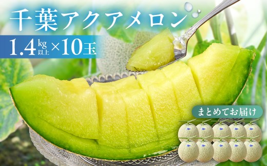 【TVで紹介!】千葉アクアメロン(マスクメロン)10玉【まとめてお届け】 mi0018-0008千葉県南房総市169000果物・フルーツメロン・スイカ