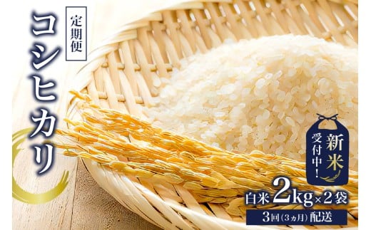 【定期便】【新米】コシヒカリ白米2kg×2【2025年産】【3か月連続でお届け】 mi0015-0003 おにぎり 白米 お米 ブランド米 精米千葉県南房総市40500米・パン白米