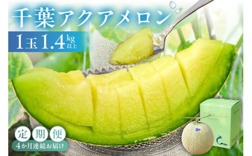 【定期便】【TVで紹介!】千葉アクアメロン1玉(1.4Kg)【4か月連続お届け】 mi0018-0005千葉県南房総市70000果物・フルーツメロン・スイカ