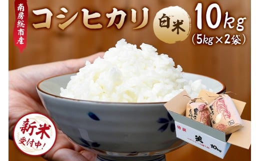 【2025年9月10日以降発送予定】【令和7年産】南房総市産コシヒカリ白米10kg(5kg×2袋) mi0018-0015 【お米 精米 ごはん こしひかり おにぎり ブランド米 国産米】千葉県南房総市29000米・パン白米
