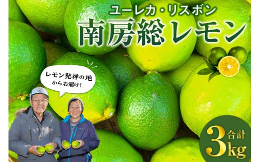 南房総レモン3kg(ユーレカ・リスボン) mi0032-0006 【果物 フルーツ 果実 レモン 柑橘】千葉県南房総市8000果物・フルーツみかん・柑橘類