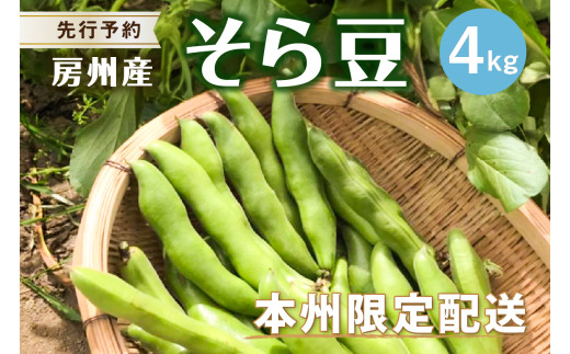 【先行受付 2026年4月中旬〜5月中旬発送予定】そら豆/ソラマメ4kg mi0044-0012【豆 野菜 期間限定 数量限定 新鮮 朝採れ】千葉県南房総市14500野菜・きのこ豆類