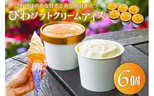 【TVで紹介!】びわソフトクリームアイス6個セット mi0010-0008千葉県南房総市11000菓子・スイーツアイス・ジェラート