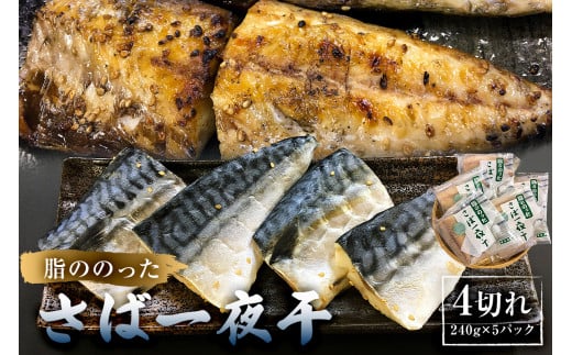 ̂̂Έ銱@4؂240g×5pbN mi0050-0001t[s9500ECY