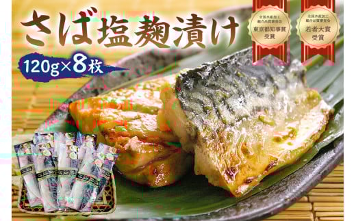 さば塩麹漬け約120g以上×8枚(個包装) mi0012-0100千葉県南房総市10000魚介・海産物その他 魚介・海産物