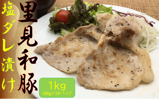 里見和豚 焼き肉用ロース塩だれ漬け 1kg(小分け100g×10パック) mi0017-0025千葉県南房総市15500肉豚肉