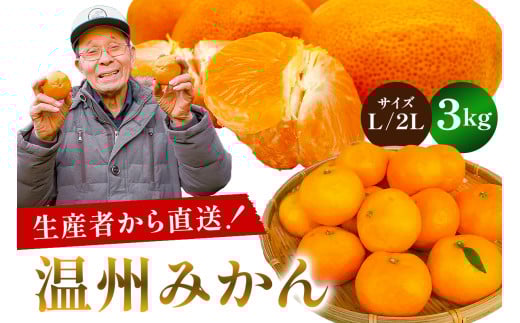 【先行受付 2025年11月20日頃から順次発送】 温州みかん 3kg【サイズL又は2L】 mi0032-0001-2 【果物 フルーツ 果実 みかん オレンジ 柑橘 食品 国産】千葉県南房総市7000果物・フルーツみかん・柑