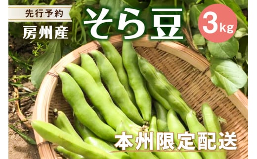 【先行受付 2026年4月中旬〜5月中旬発送予定】そら豆/ソラマメ3kg mi0044-0009【豆 野菜 期間限定 数量限定 新鮮 朝採れ】千葉県南房総市12000野菜・きのこ豆類