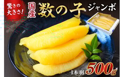国産 塩数の子ジャンボ(北海道産) 1本羽 500g  mi0012-0069 【数の子 ニシン ジャンボサイズ 海産物 魚卵 レシピ同封 お正月 おせち料理】千葉県南房総市15000魚介・海産物明太子・その他魚卵