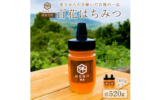 【国産・100%天然】百花はちみつ2本セット(260g×2本・とんがりポリ容器)祖父から引き継いだ自慢の一品 mi0075-0002千葉県南房総市11000鍋セット・総菜・加工食品ジャム・はちみつ