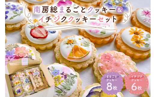 のし対応可能 南房総まるごとクッキー8枚(カレンデュラ&レモン、菜の花&落花生)・イチジククッキー6枚セット mi0085-0001千葉県南房総市11000菓子・スイーツ焼き菓子