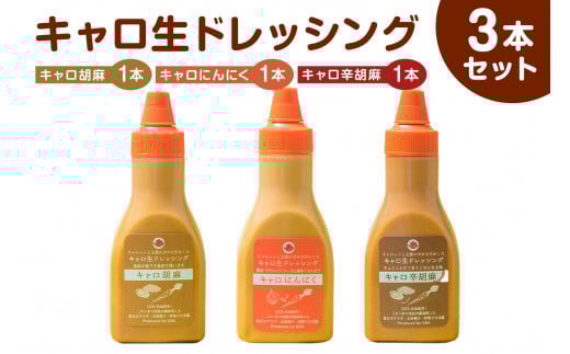 キャロ生ドレッシング 3本セット mi0092-0002 【にんじん 玉ねぎ 甘み 調味料 たれ ニンニク 胡麻 リンゴ酢 オリジナル サラダ お肉 野菜炒め スパゲッティ 目玉焼き ソース 下味 米油】千葉県