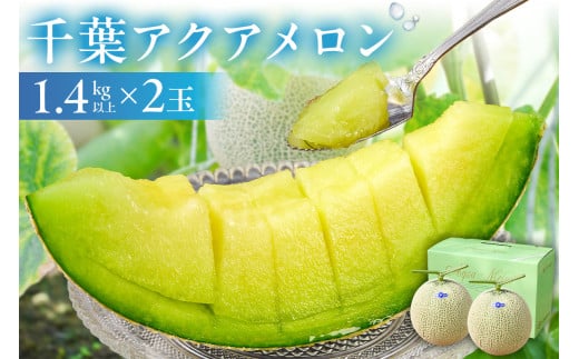 【TVで紹介!】千葉アクアメロン(マスクメロン)2玉【まとめてお届け】 mi0018-0003【メロン 青肉 ギフト 贈答 プレゼント フルーツ 果物】千葉県南房総市34000果物・フルーツメロン・スイカ