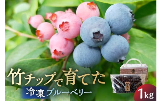【南房総産・特別なブルーベリー】竹チップで育てた、冷凍ブルーベリー 1kg mi0089-0001 【果物 フルーツ ブルーベリー 冷凍 竹チップ アレンジ ヨーグルト ジャム ソース 】千葉県南房総市1300