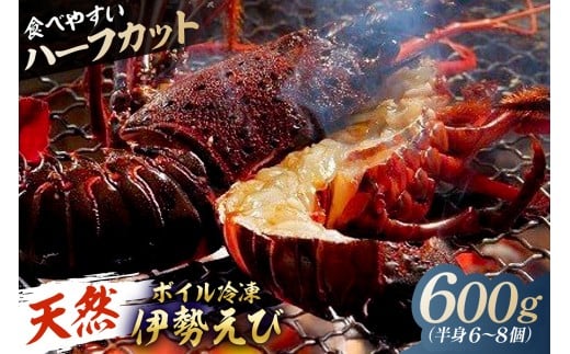 【先行受付:12月発送】【天然】ボイル冷凍伊勢海老 ハーフカット600g(半身6〜8個) mi0020-0013-12 【伊勢海老 ボイル ハーフカット 魚介 バーベキュー 海の幸 海鮮】千葉県南房総市24000魚介・