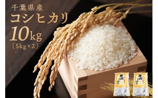 千葉県産コシヒカリ 10kg(5kg×2袋) mi0121-0001【食品 お米 精米 ごはん こしひかり おにぎり ブランド米 国産米 米】千葉県南房総市29500米・パン白米