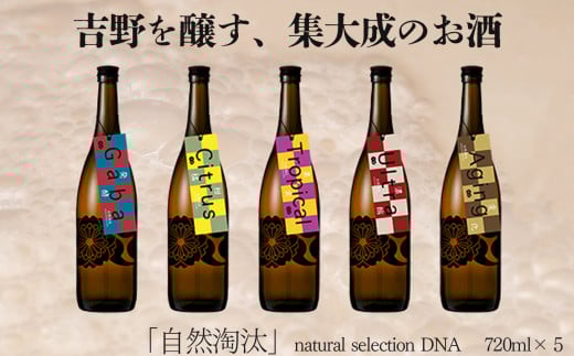 R natural selection DNA 5Zbgb{  i ݂̂דޗǌg쒬75000EAR[{