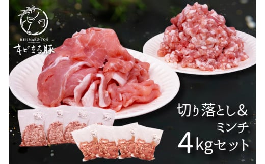 yLr܂؁z؂藎Ƃ & ~` 4kg Zbg ꌧY ؓ ^pbN 500g  Y  ؗ Ԑ؂ Ԑ؂ ؗ ҂ ؔ҂ Ђ 4L  uh Y |