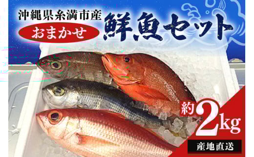 【 産地直送 】【漁師まちの鮮魚店厳選】おまかせ 鮮魚 セット(約 2kg ) お魚 魚 詰め合わせ 下処理済み (内臓・ウロコ除去済み) 急速冷凍 真空パック 沖縄 鮮魚セット 詰合せ 鮮魚店 厳選 お