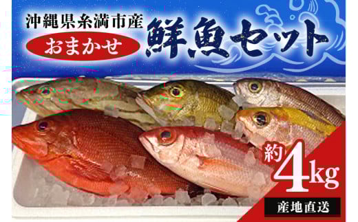 【 産地直送 】【漁師まちの鮮魚店厳選】おまかせ 鮮魚 セット(約 4kg ) お魚 魚 詰め合わせ 下処理済み (内臓・ウロコ除去済み) 急速冷凍 真空パック 沖縄 鮮魚セット 詰合せ 鮮魚店 厳選 お